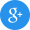 Google icon